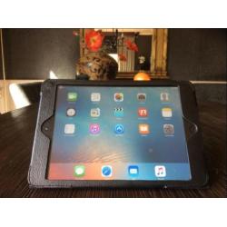 iPad i pad mini 1